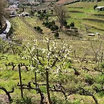 Quinta Do Fôjo *
