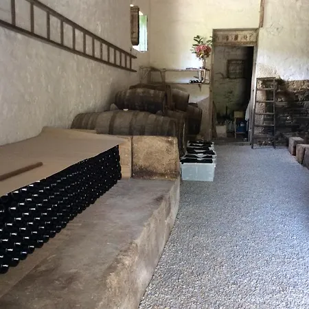 Quinta Do Fojo * Lamego