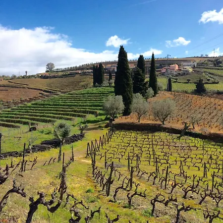 Alojamento de Acomodação e Pequeno-almoço Quinta Do Fôjo Lamego
