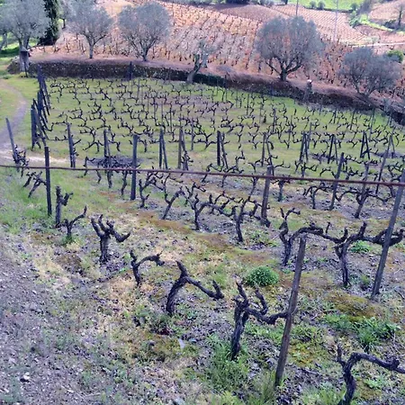 Bed & Breakfast Quinta Do Fojo