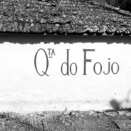 Quinta Do Fojo Lamego
