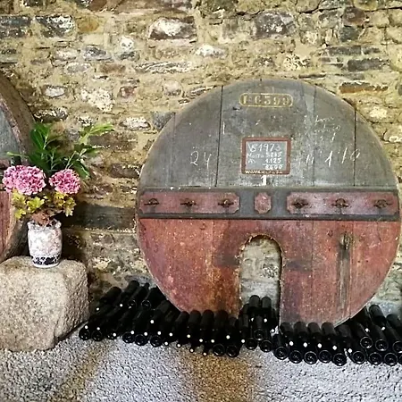 Quinta Do Fojo Panzió Lamego
