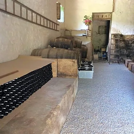 Quinta Do Fojo Oda ve Kahvaltı Lamego