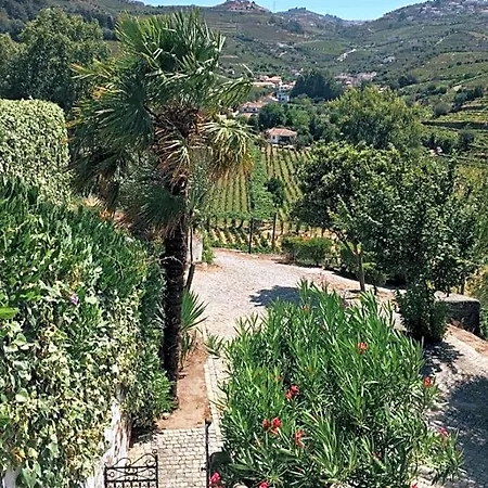 Quinta Do Fojo