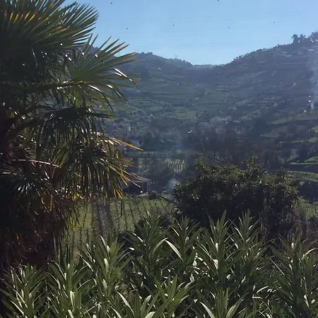Alojamento de Acomodação e Pequeno-almoço Quinta Do Fôjo Lamego