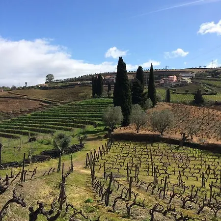 Alojamento de Acomodação e Pequeno-almoço Quinta Do Fôjo Lamego