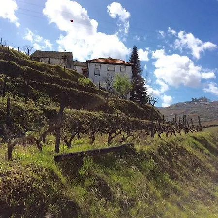 Quinta Do Fojo Bed & Breakfast Lamego