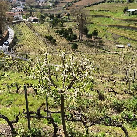 Quinta Do Fôjo *