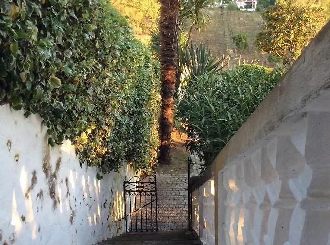 Quinta Do Fojo Bed & Breakfast