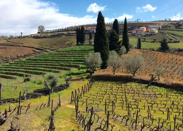 Alojamento de Acomodação e Pequeno-almoço Quinta Do Fôjo Lamego