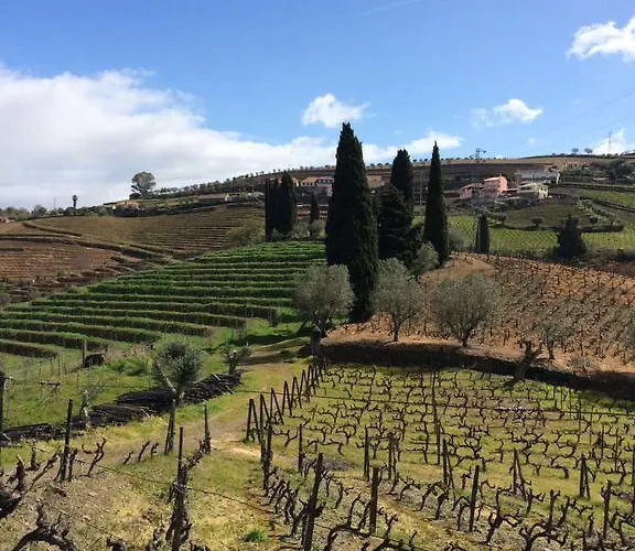 Bed & Breakfast Quinta Do Fojo Lamego