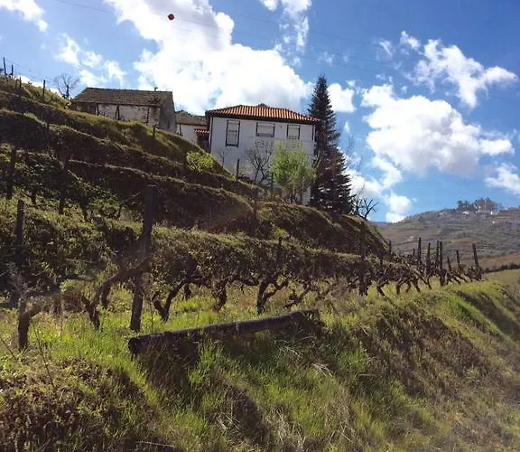 Quinta Do Fôjo Alojamento de Acomodação e Pequeno-almoço Lamego