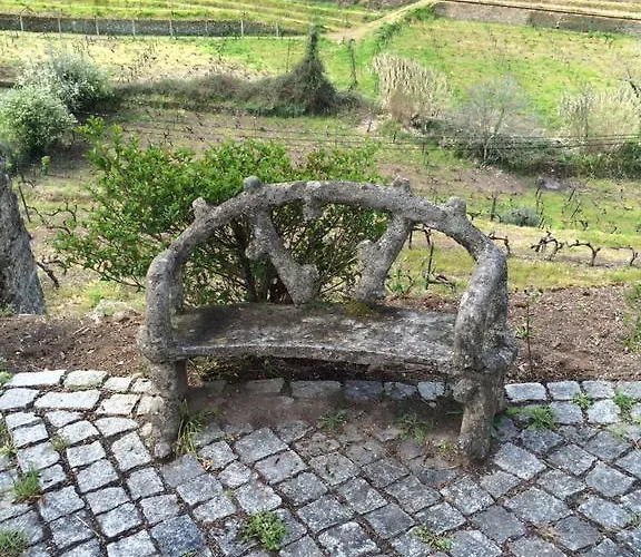 Quinta Do Fôjo Lamego