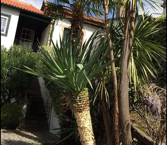 Bed & Breakfast Quinta Do Fojo *