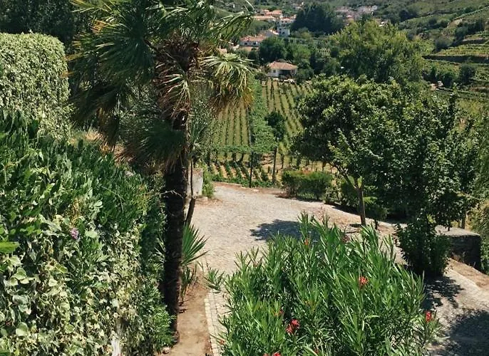Quinta Do Fojo * Lamego